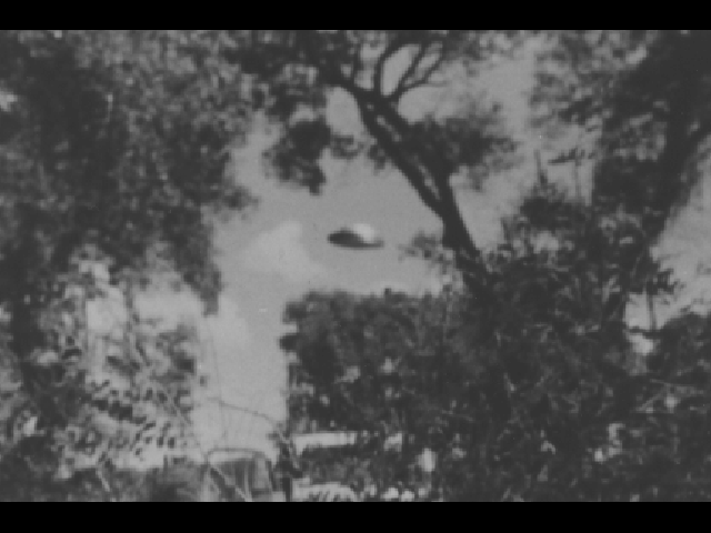 Disco volante tra gli alberi